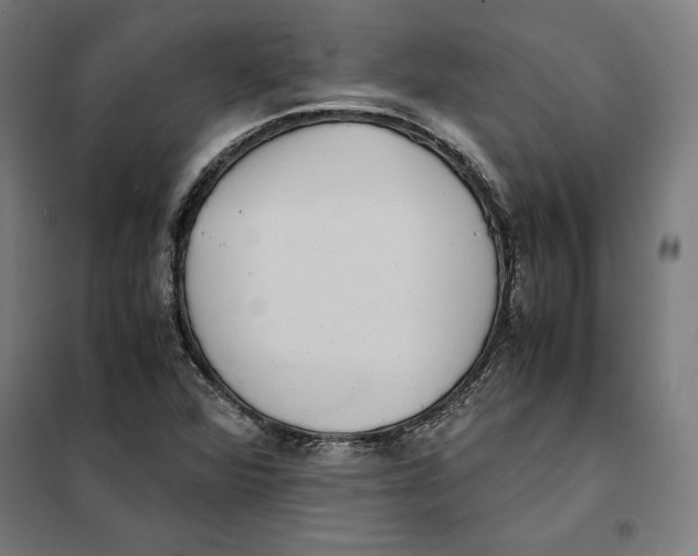 X0000101191360200807250953