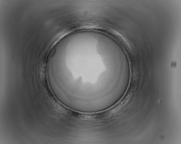 X0000101191361200807250953