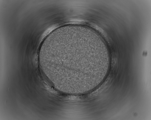 X0000101191362200807250953