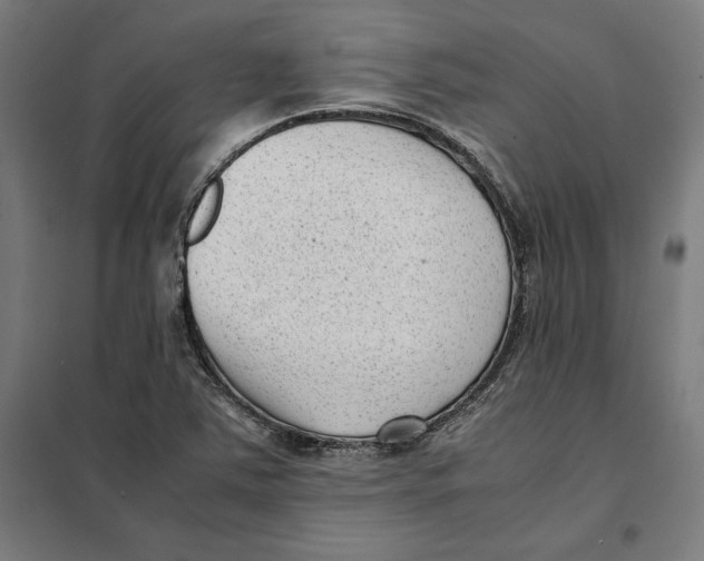 X0000101191363200807250953