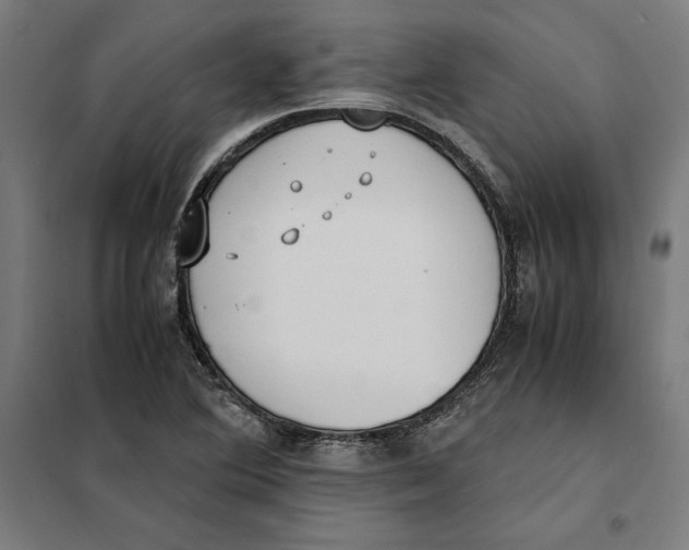 X0000101191364200807250953