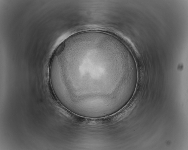 X0000101191365200807250953