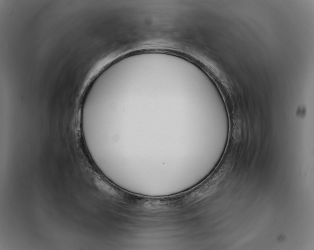 X0000101191366200807250953