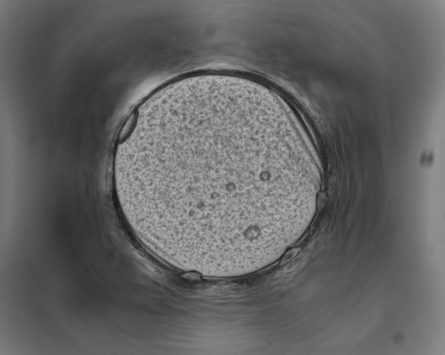 X0000101191367200807250953