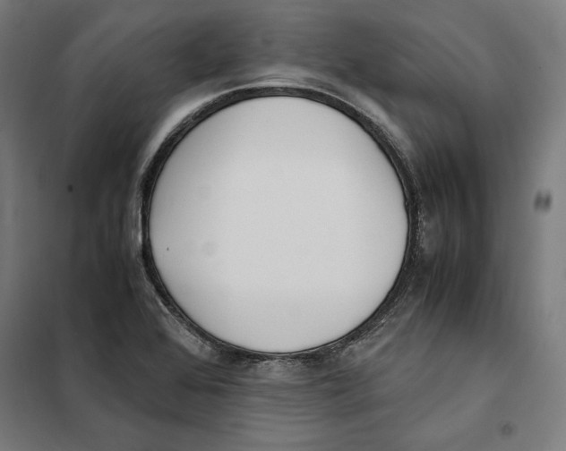 X0000101191368200807250953