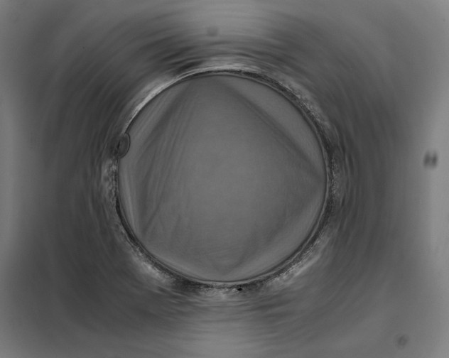 X0000101191369200807250953