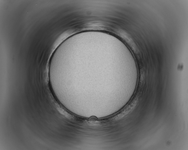 X0000101191370200807250953