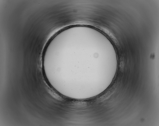 X0000101191372200807250953