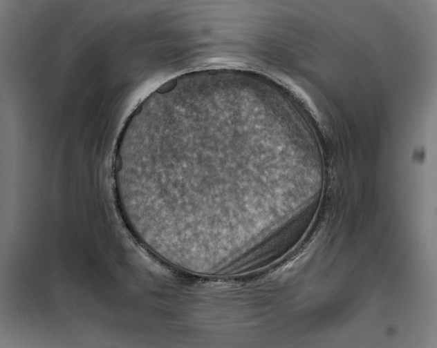 X0000101191373200807250952