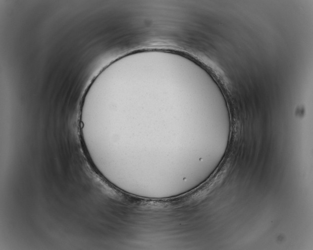 X0000101191374200807250952