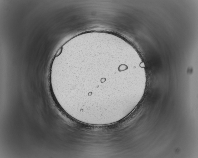 X0000101191375200807250952