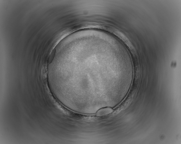 X0000101191377200807250952