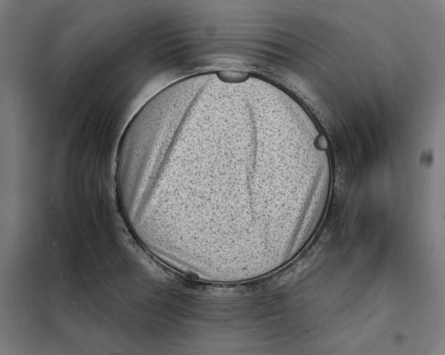 X0000101191378200807250952