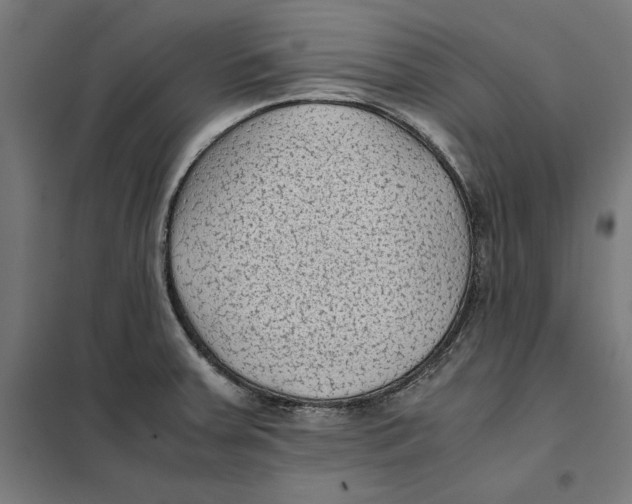 X0000101191379200807250952