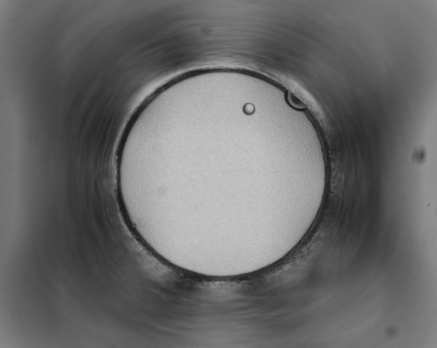 X0000101191380200807250952