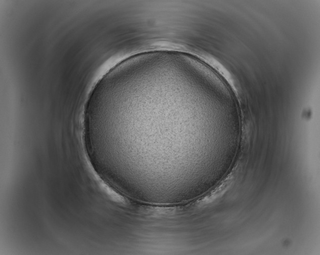 X0000101191381200807250952