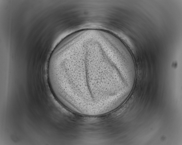 X0000101191382200807250952