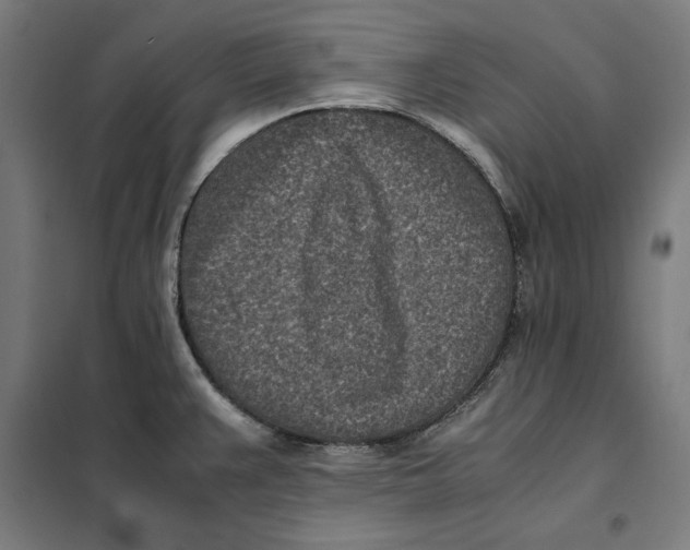 X0000101191383200807250952