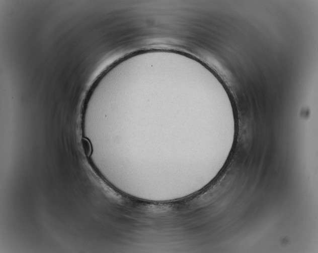 X0000101191384200807250952