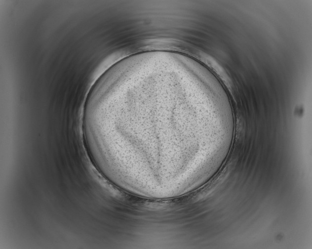 X0000101191386200807250952