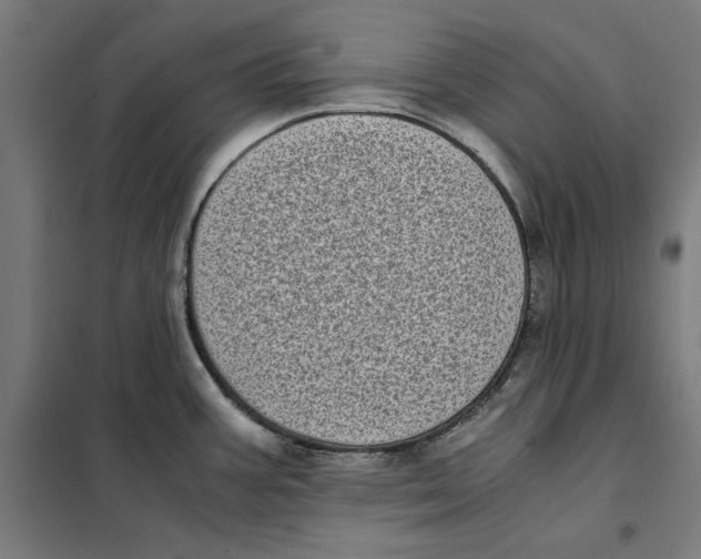 X0000101191387200807250952