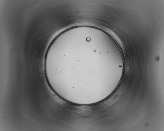 X0000101191388200807250952