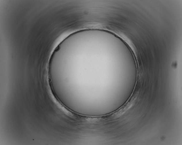 X0000101191389200807250952