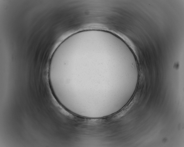 X0000101191390200807250952