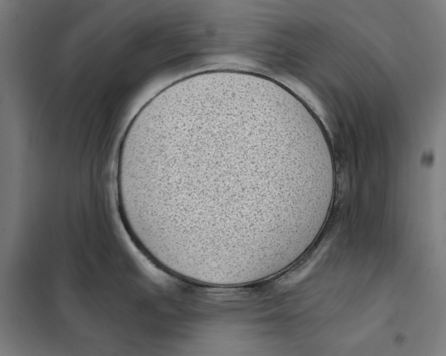 X0000101191391200807250952