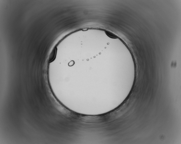 X0000101191392200807250952