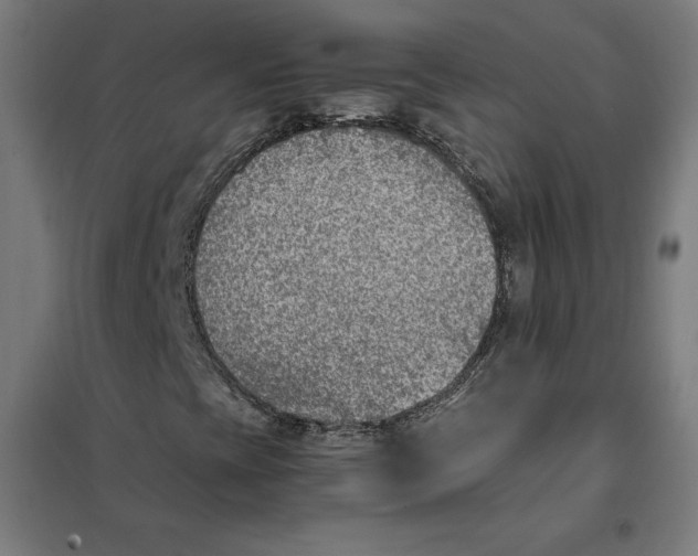 X0000101191393200807250952