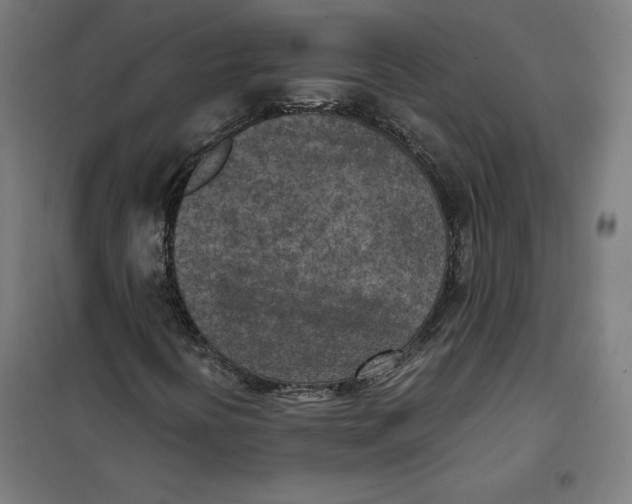 X0000101191394200807250952