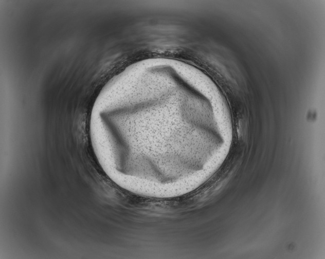 X0000101191396200807250952