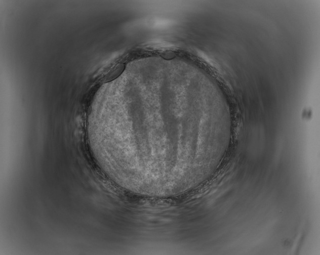 X0000101191397200807250952
