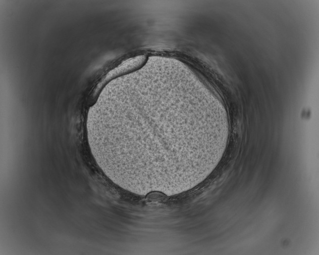 X0000101191398200807250952