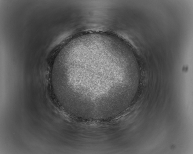 X0000101191399200807250952