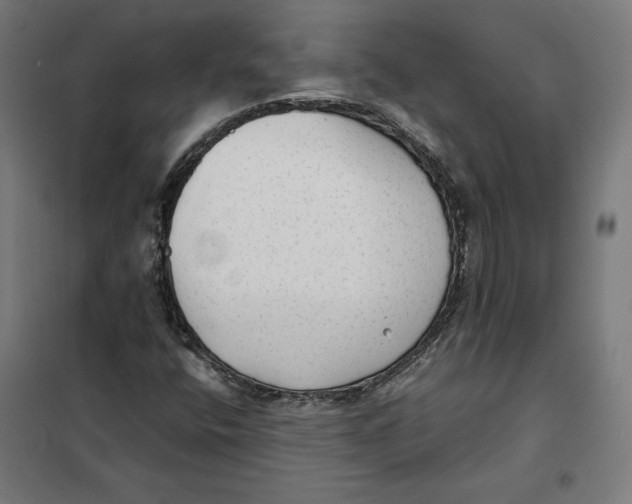 X0000101191400200807250952