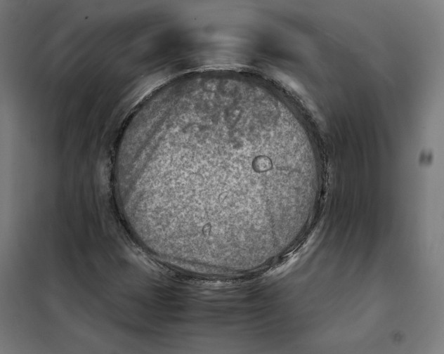 X0000101191401200807250952