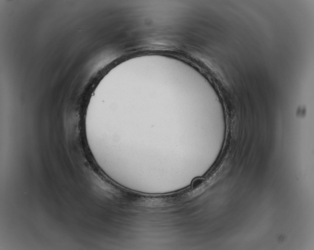 X0000101191402200807250952