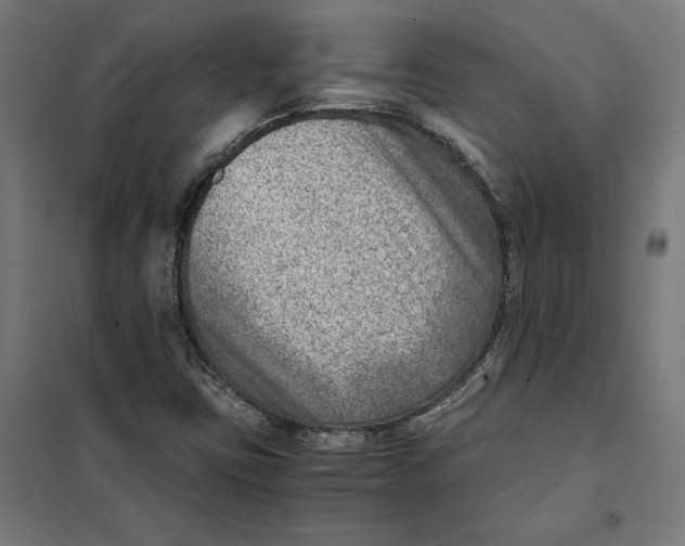 X0000101191403200807250952