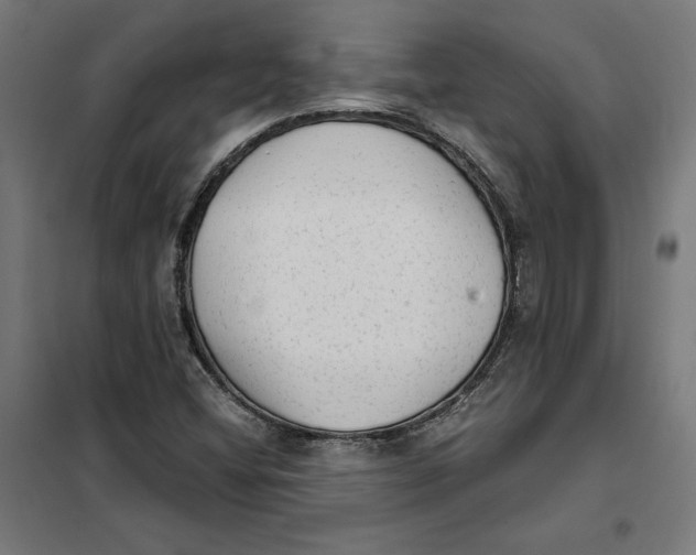 X0000101191404200807250952