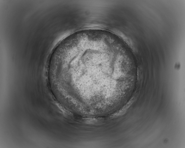 X0000101191405200807250952
