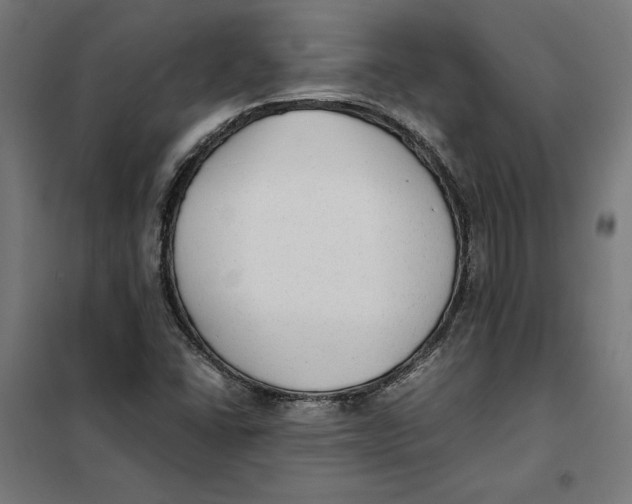 X0000101191406200807250952