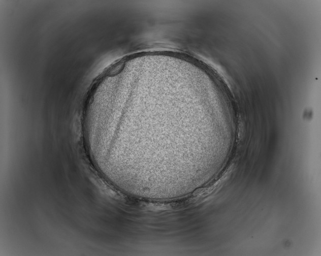 X0000101191407200807250952