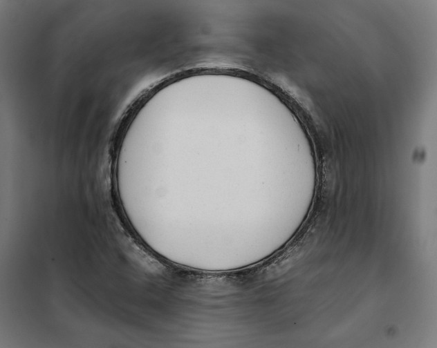 X0000101191408200807250952