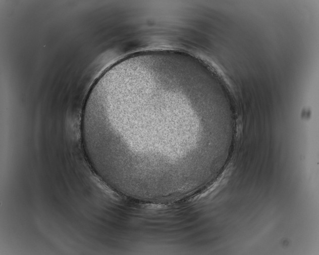 X0000101191409200807250952