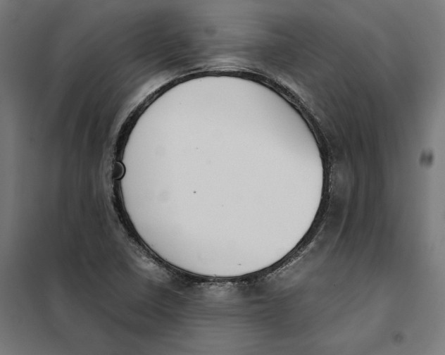 X0000101191410200807250952