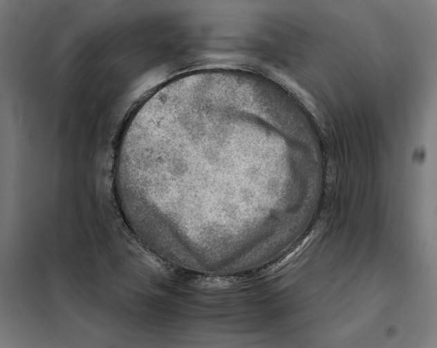 X0000101191411200807250952