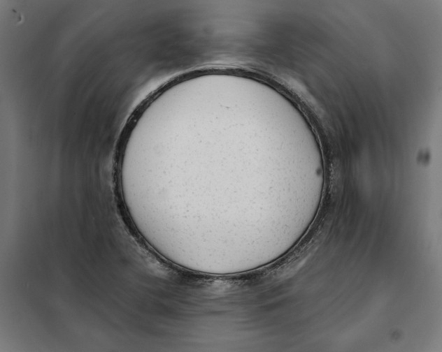X0000101191412200807250952