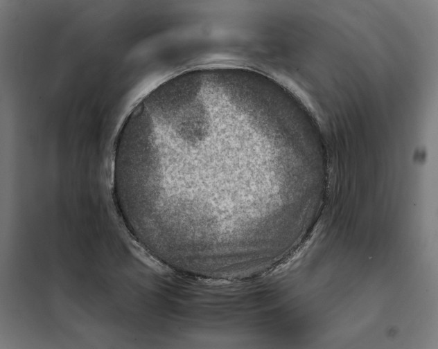 X0000101191413200807250952